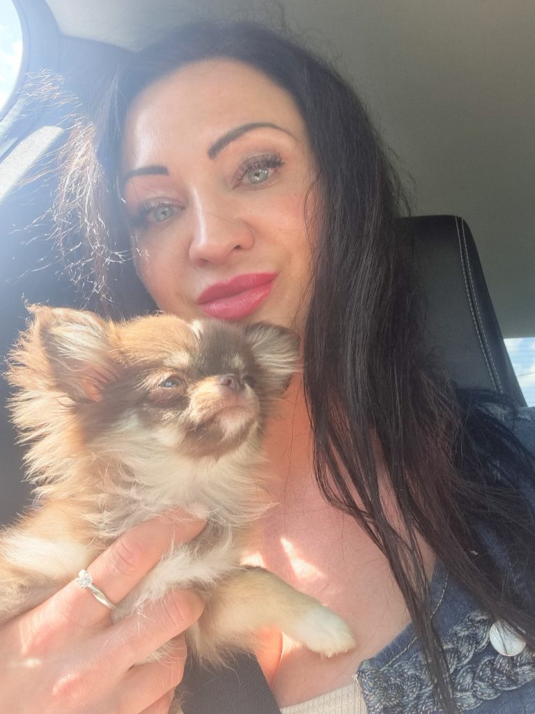 Notre Elevage de Chihuahua